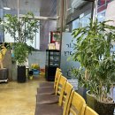 청정바지락칼국수 | [청정칼국수] 바지락 가득한 시원한 국물의 인천 청라 칼국수 맛집 후기