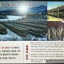 윤경남 7통 황태국 | 윤경남 7통 황태국 이태원 용산구청 맛집 술국 술안주 해장 맛집 건강한 집밥 메뉴추천