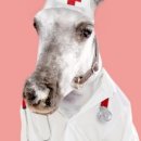 월리농장 이미지