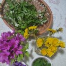 주안6동 행정복지센터 이미지