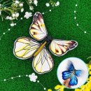 배추몰
