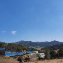 시나브로목장 이미지