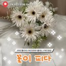 눈에꽃이피다 | 부안 꽃집은 꽃이 피다 웨딩촬영용 부케와 부토니 내돈내산 솔직후기