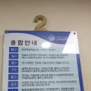 조이바이초이 헤어 이미지