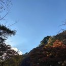 보은약수터 | [단풍의 시작]-#11월1일 #속리산 #법주사