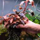 신용 아쿠아 수족관 이미지