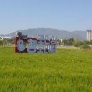 허수아비 이미지