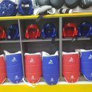 용인대대영태권도 이미지