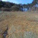 삼형제공인중개사사무소 이미지