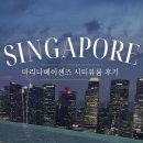 시티베이 | 싱가포르 마리나베이샌즈 프리미어 킹룸 시티뷰 후기 | 인피니티풀부터 야경까지 너무 만족한 숙박
