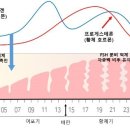 르봄여성의원 이미지