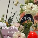 취운화 이미지