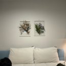 호텔 프리마베라 in Busan 이미지