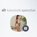 미녀와 야수짐 차암점 이미지