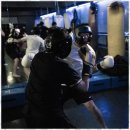 국제체육관 이미지