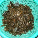 운남로3 이미지