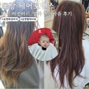 포항제일약국 | 포항 헤어로맨스 아기 배냇머리 미용 엄마 발레아쥬 염색 내돈내산