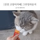 그루밍라운지 이미지