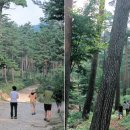 광천교 - 우 이미지