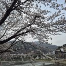 하동 별곰캠핑힐(하동별곰캠핑장) 솔직 후기(하동조용하고깨끗한캠핑장 추천)