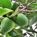 범어도서관 이미지