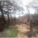 삼봉3리 이미지