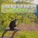 통일동산우체국 | 파주 통일동산 서울근교 드라이브코스 산책 가볼만한 곳