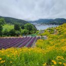 지세포로 이미지