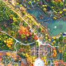 한밭수목원2 이미지