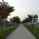 제1금천교 이미지