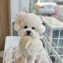 렛츠개릿 이미지