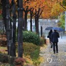 새문안로2길 이미지