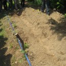 대전대문초등학교 이미지