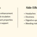은행잎 추출물 효능과 부작용 이미지