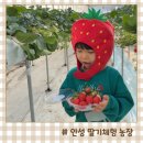 이마트24 안성죽산점 | 안성 아이와 실내 가볼만한곳 딸기따는날 딸기체험 농장