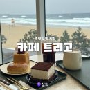 트리고삼척해변점 이미지