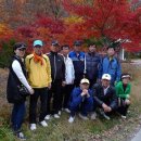 너랑나랑콘도 이미지