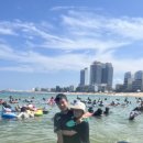 공룡공인중개사사무소 이미지