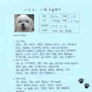 [#1105] 칠복(우측 대퇴골두절제술)의 수술후기