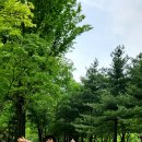 호계3동-1 이미지