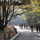 걷기 운동도 걷기 나름? 효과 ‘제대로’ 보는 걷기 방법 이미지