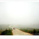 안성목장 이미지