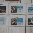 구미칠곡축협축산물가맹점 이미지