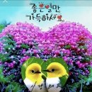미림 - 의성군 | 미림