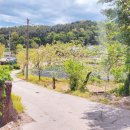 주정차단속-142 이미지