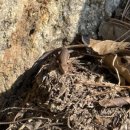 참미가정 이미지