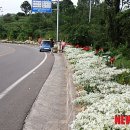 금서면사무소 이미지