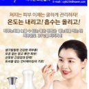 다물코퍼레이션