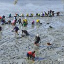 한국의 유네스코 세계유산 이미지
