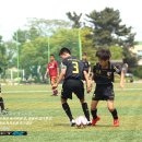 강릉중앙초등학교 이미지